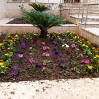 انجام تمامی کارهای باغبانی|خدمات باغبانی و درختکاری|گرگان, |دیوار