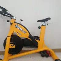 دوچرخه ثابت