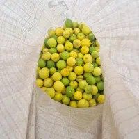 لیمو مخصوص آب گرفتن ابدار