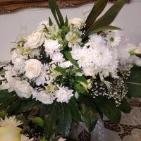 دوسبد گل طبیعی|گل و گیاه طبیعی|تبریز, |دیوار