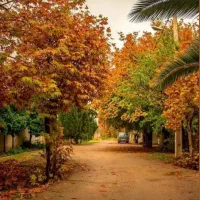 فروش خط دائمی 09131013373