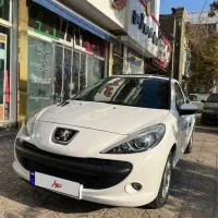 کارکرد ۴۵هزار 207 پانوروما