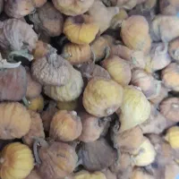 کشته انجیر|خوردنی و آشامیدنی|مشهد, گاز|دیوار