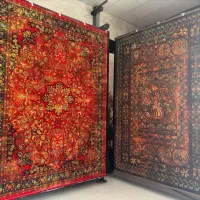 فرش کلکسیون امپرا ۱۲۰۰شانه طرح حریص رنگ لاکی سبز|فرش|شیراز, رکن‌آباد|دیوار