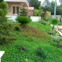 چمن کاری در محوطه و ایجاد فضای سبز