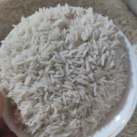 طارم درجه یک