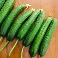 خیار گلخانه ای عمده مستقیم از باغ|خوردنی و آشامیدنی|تهران, هروی|دیوار