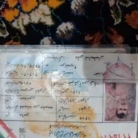 مدارک شناسایی گم کردم بنام ناصرفضیله پور