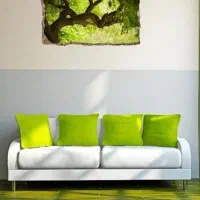 مبل شویی تضمینی شستشو در منزل برترین مبلشویی شیراز