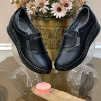 تولید و پخش کفش هرمیون|کیف، کفش، کمربند|مشهد, عنصری|دیوار