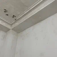 نقاشی ورنگ آمیزی ساختمان، ترمیم ولکه گیری گچ دیوار