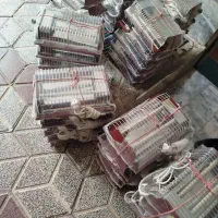 کرسی وبخاری برقی