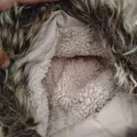 کاپشن جنس خوب درحدنو|لباس|چهارباغ, |دیوار