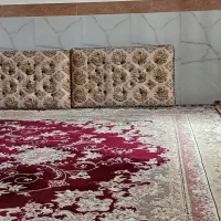 پشتی درحدنو