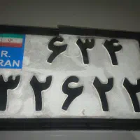 پلاک پیدا شده