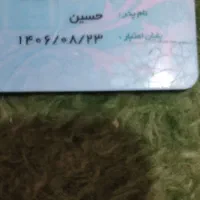 مدارک گمشده مژدگانی