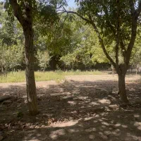 ۵۰۰ متر زمین با جواز و سند تک برگ تهراندشت|فروش زمین و ملک کلنگی|کرج, عظیمیه|دیوار