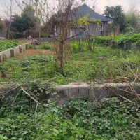 ۲۵۰ متر زمین مسکونی با نامه تاییدیه بنیاد مسکن|فروش زمین و ملک کلنگی|کوچصفهان, |دیوار