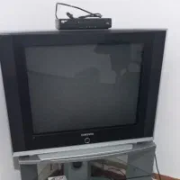 تلویزیون