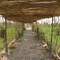 فروش ملک|فروش خانه و ویلا|کرباسک, |دیوار