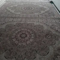 فرش تمیز ودرحدنو