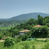 ویلا جنگلی کوتاه مدت|اجارهٔ کوتاه‌مدت ویلا و باغ|کلاچای, |دیوار