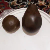 سلام دوعدد سنگ عجیب میفروشم