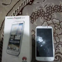 دوتا گوشی