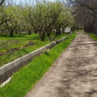 فروش-زمین-کشاورزی-املاک-ارغش