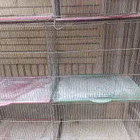 قفس جوجه پرون پرون