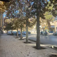 ویلایی بزرگ با پروانه ۷ سقف لاله شیوا و کمال