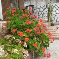 ویلا۴۰۰متری/زیرقیمت/فروش فوری/املاک مهدی|فروش خانه و ویلا|خشکبیجار, |دیوار