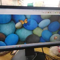 سیستم حسابداری دایان