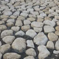 نقشه برداری سایت