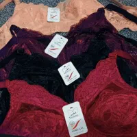 فروش انواع لباس زیر|لباس|مرودشت, فرهنگ|دیوار