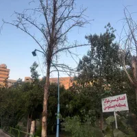 فروش آپارتمان ۱۷۶ متری ۴ خوابه در اکباتان|فروش آپارتمان|تهران, اکباتان|دیوار
