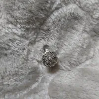 گمشده گوشواره نقره