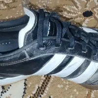 کفش سالن|کیف، کفش، کمربند|فردوس (خراسان), |دیوار