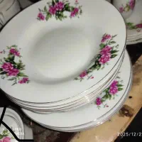 چینی گل سرخی پلوخوری خورشت خوری گلسرخی ترشی خوری