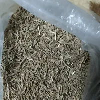 زیره سبز