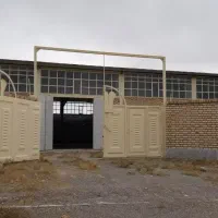 سوله زرشک خشک کنی