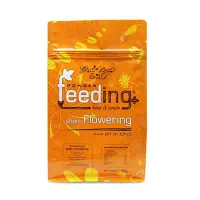 گلدان پلیمری و فلزی|گل و گیاه طبیعی|شهرکرد, |دیوار