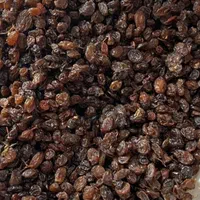 کشمش افتابی تاکستان|خوردنی و آشامیدنی|قزوین, |دیوار