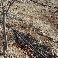 فروش لوله قطره ای یک اینج اندازه یک هکتار باغ