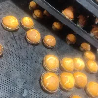 کارگاه نون فانتزی