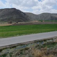 اجاره زمین ۳۰ هکتار آبی سیستم بارانی