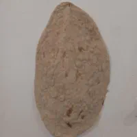 شاطر نانوایی