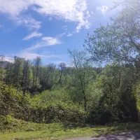 هم تیمی جهت والیبال