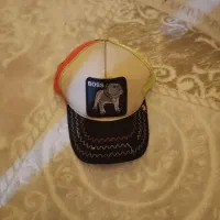 دو عدد کلاه|لباس|گلستان (تهران), |دیوار