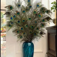 پرطاووس هندی وارداتی|صنایع دستی و سایر لوازم تزئینی|مریوان, |دیوار